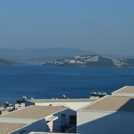 Penthouse Orange Grove 公寓